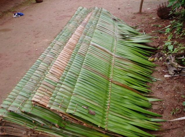 Thatches (Photo: Njei M.T)